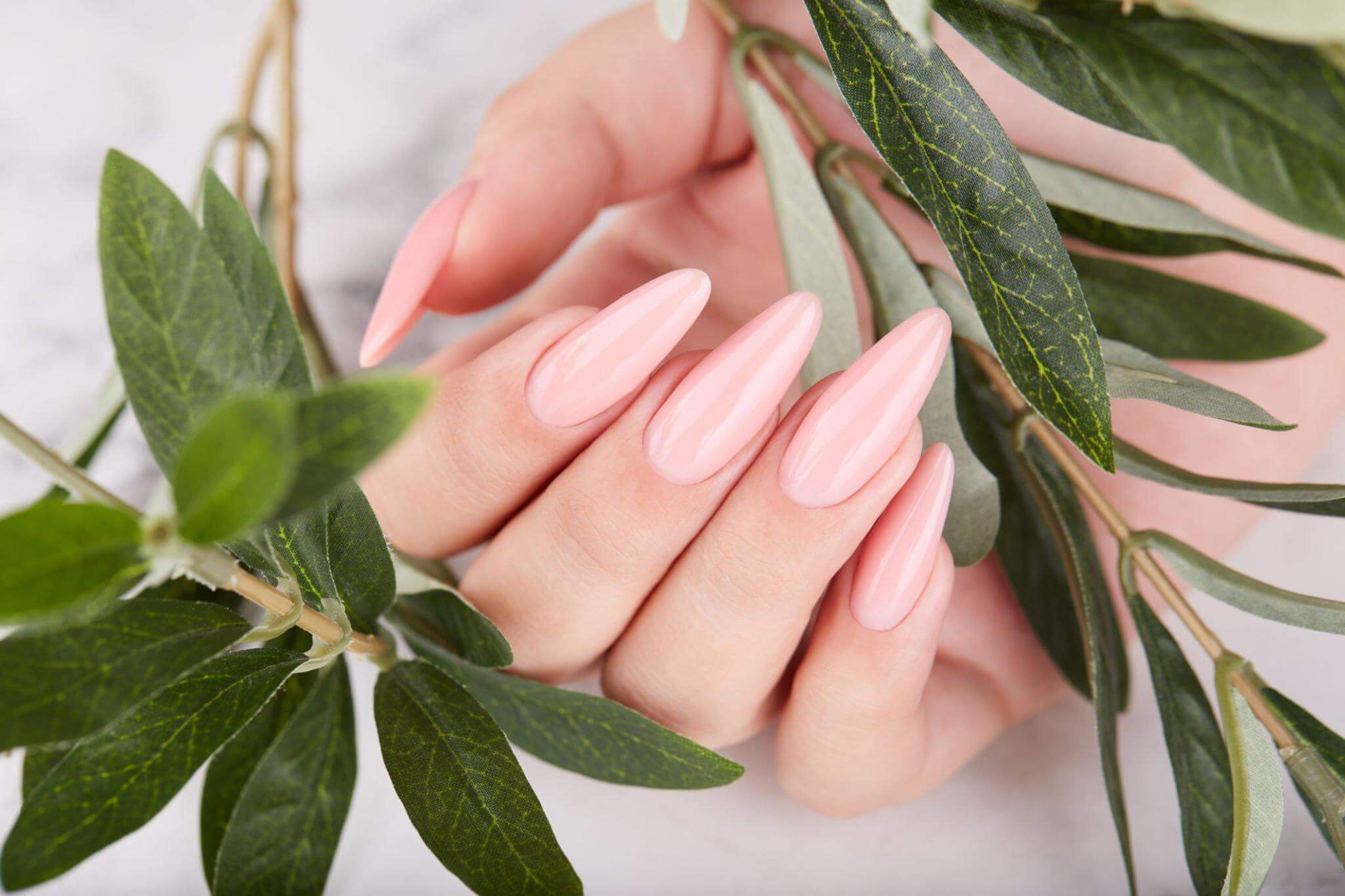 women's simple pink nails